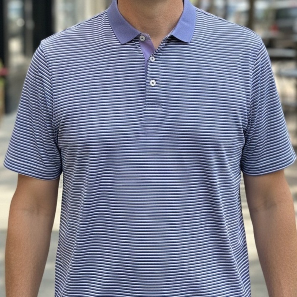 Polo Golf Ralph Lauren Mens XXL Pima Cotton Striped Polo Shirt Blue Purple 3369